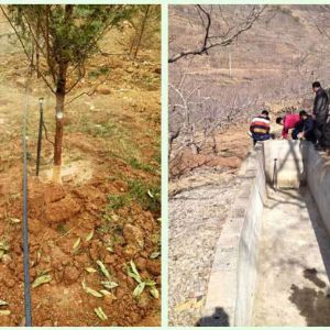 Φ16mm地埋式滲灌管